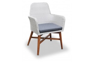 Swan Dining Chair 